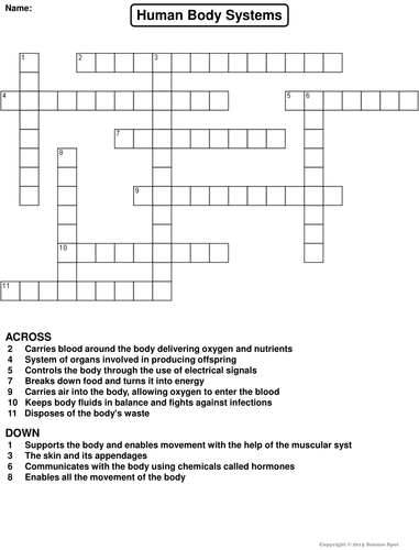 Human Body Systems Crossword Puzzle | Teaching Resources