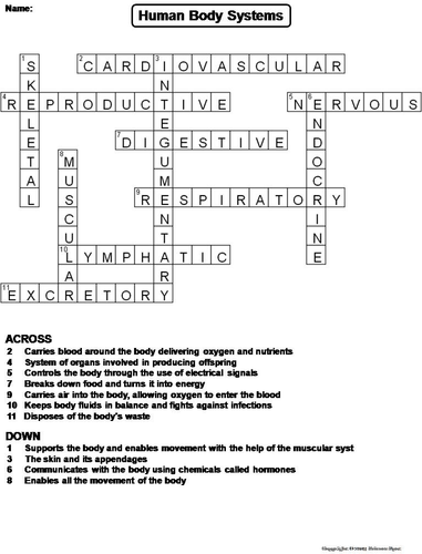 Human Body Systems Crossword Puzzle Teaching Resources