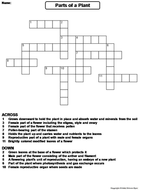 Parts of a Plant Crossword Puzzle Teaching Resources