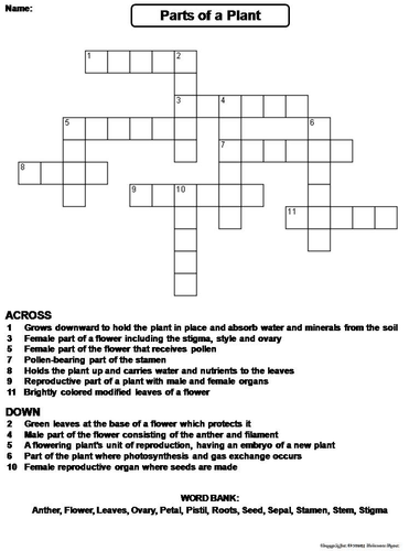 17  marsh plants crossword DeanaZeyneb