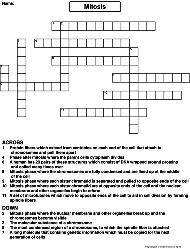 Mitosis Crossword Puzzle Teaching Resources