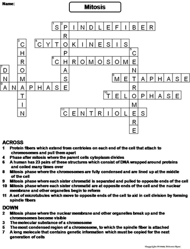 Mitosis Crossword Puzzle Teaching Resources
