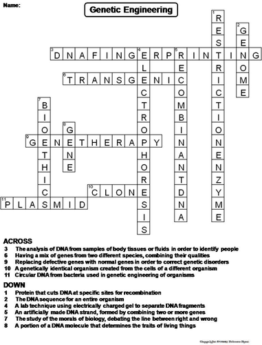 Genetic Engineering Crossword Puzzle Teaching Resources