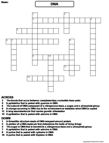 DNA Crossword Puzzle Teaching Resources