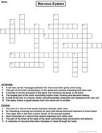 Nervous System Crossword Puzzle | Teaching Resources