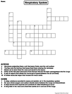 Respiratory System Crossword Puzzle | Teaching Resources