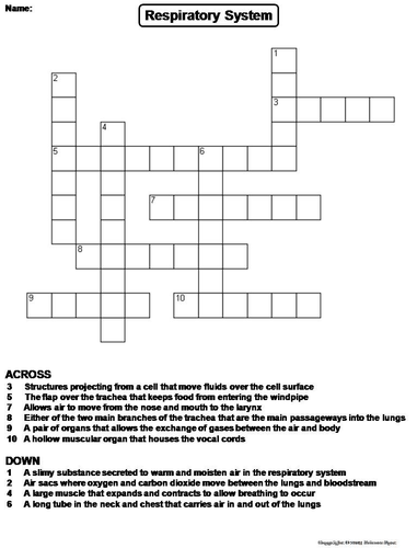 Respiratory System Crossword Puzzle