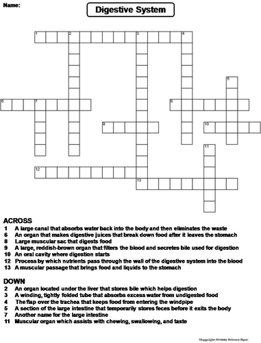 Digestive System Crossword Puzzle