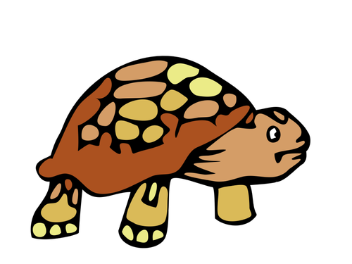 Tortoise Templates | Teaching Resources