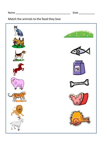 Animals and their food worksheet | Teaching Resources