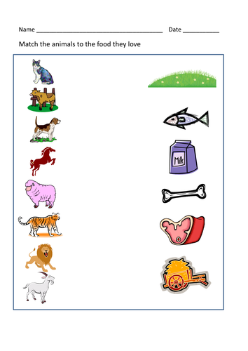 animals and their food worksheet teaching resources