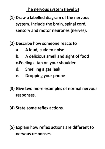The Nervous System (KS3) | Teaching Resources