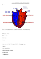 GCSE PE (edexcel - new specification) component 1.2 Cardiovascular ...