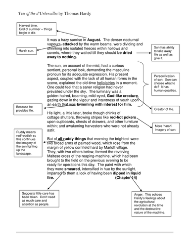 Tess of the D'Urbervilles Chapter XIV-XVIII | Teaching Resources