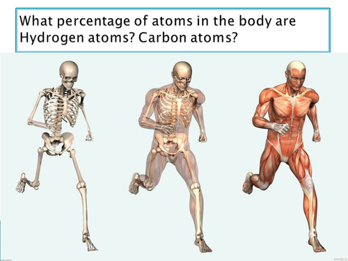 OCR A level Biology Module 2 - chapter 3 - biological elements lesson