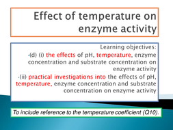 The effect of substrate concentration on the activity of the enzyme catalase experiment image