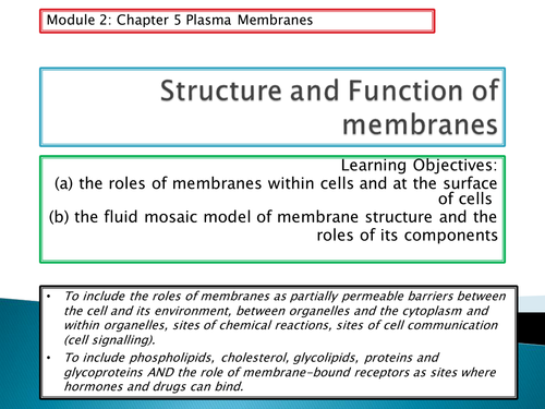 NEW SPEC - OCR A level Biology - Module 2 - chapter 5 - Plasma membranes - structure & function