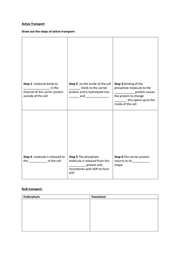 NEW SPEC - OCR A level Biology - Module 2 - chapter 5 - Plasma membranes - active transport