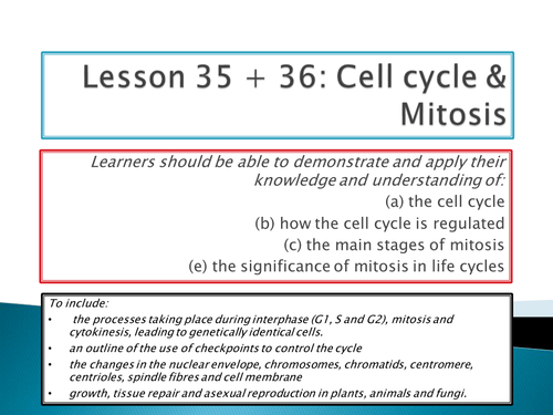 NEW SPEC - OCR A level Biology - Module 2 - chapter 6 - cell division, diversity - cell cycle