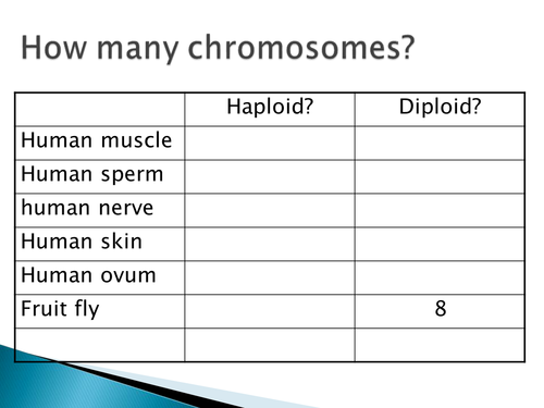 NEW SPEC - OCR A level Biology - Module 2 - chapter 6 - cell division - mitosis and meiosis