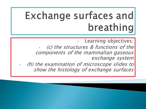 NEW SPEC - OCR A level Biology - Module3 - chapter 7 - exchange surface and breathing  - mammals