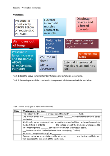 NEW SPEC - A level Biology  - OCR -Module 3 - chapter 7 - Ventilation