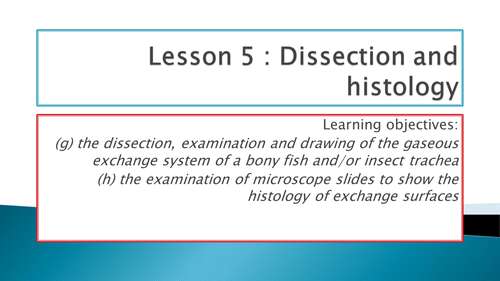 NEW SPEC - A level Biology  - OCR -Module 3 - chapter 7 - Exchange surfaces - Dissection and histolo