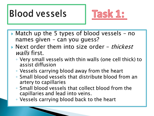 NEW SPEC - A level biology - OCR - Module 3 - chapter 8 - transport in animals - blood vessels