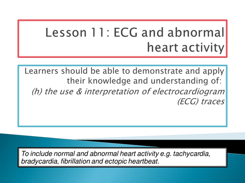 NEW SPEC - A level biology - OCR - Module 3 - chapter 8 - transport in animals - ECG