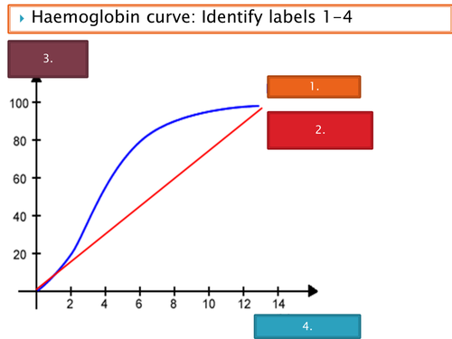NEW SPEC - A level biology - OCR - Module 3 - chapter 8 - transport in animals - haemoglobin