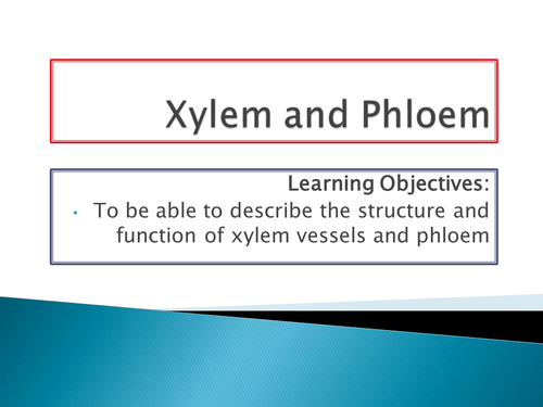 NEW SPEC - A level biology - OCR - Module 3 - Chapter 9 - Transport in plants- xylem & phloem