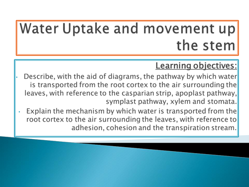 NEW SPEC - A level biology - OCR- Module 3 - Chapter 9 - Transport in plants- water movement