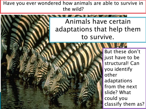 New Spec - A level biology - OCR - Module 4 - Biodiversity - Chapter 12 - Adaptation