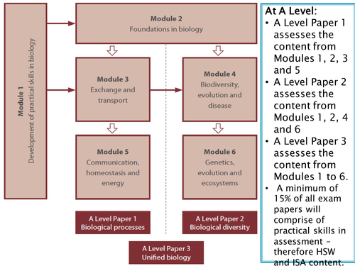 NEW SPEC - A level Biology - Module 5 - Communication - Chapter 1 - Communication systems