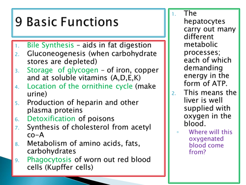 NEW SPEC - A level Biology - Module 5 - Comm & Excretion - Chapter 2 - Liver function