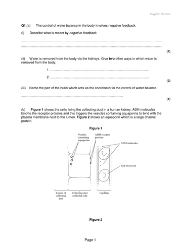 NEW SPEC - A level Biology - Module 5 - Comm & Excretion - Chapter 2 - Control of water potential