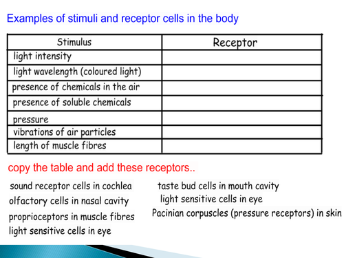 NEW SPEC A level biology - Module 5 - Chapter 3 - Neuronal communication