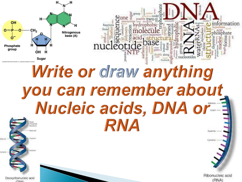 New SPEC A level biology - Module 6 -Genetics - Chapter 1 - cell control - mutations