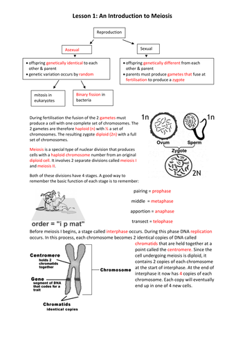 New Spec A Level Biology Module 6 Genetics Chapter 2 Inheritance