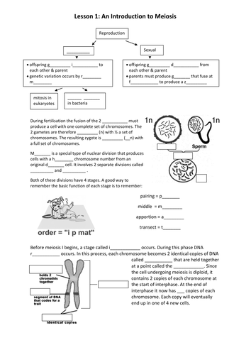 docx, 479.69 KB