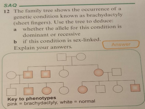 NEW SPEC - A level bio - Module 6 Genetics - Chapter 2 Inheritance - Autosomal linkage epistasis