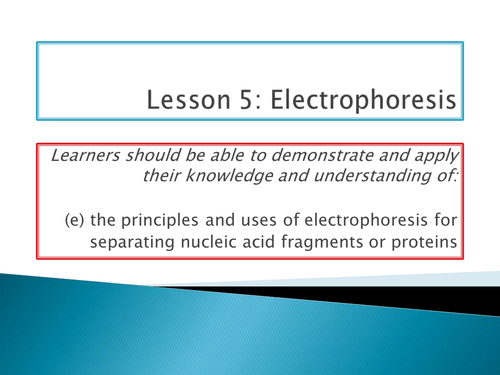 NEW SPEC - A level bio - OCR - Module 6 Genetics - Chapter 3 Genomes- Electrophoresis