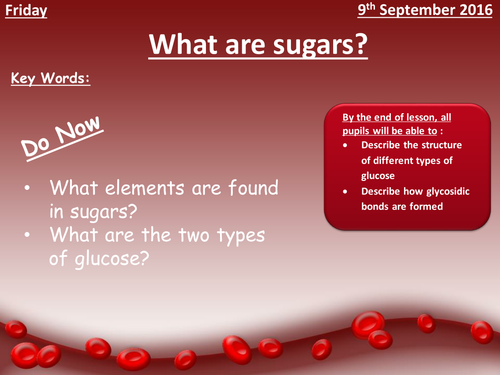 AQA AS Level Biology Section 1: Carbohydrates