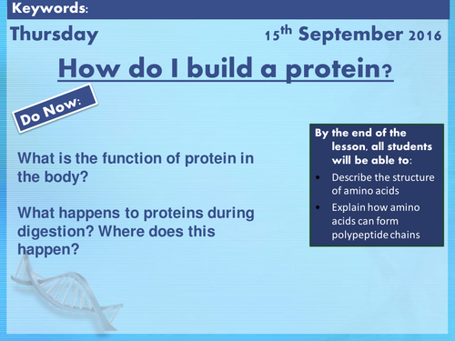 AQA AS Biology Section 1: Amino Acids and Protein Structure