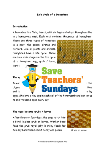 year 2 explanation texts planning and resources life cycles