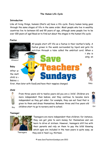 year 2 explanation texts planning and resources life cycles teaching resources