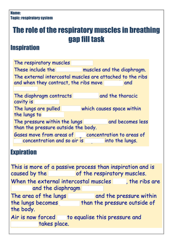 docx, 481.11 KB