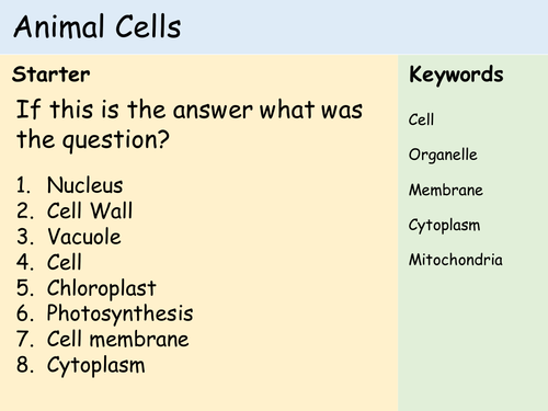 KS3 Cells - Lesson 3 - Animal Cells | Teaching Resources