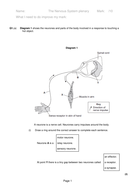 The Nervous System - New AQA Biology GCSE | Teaching Resources