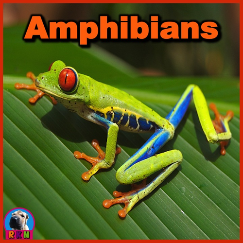Amphibians PowerPoint & Activities Teaching Resources